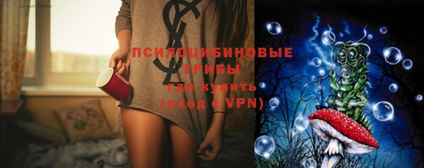 индика Переславль-Залесский