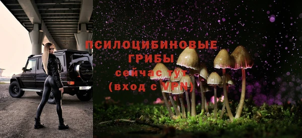 прущие крисы Аркадак