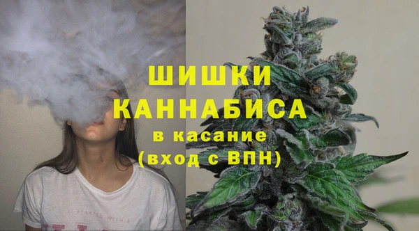 мяу мяу мука Пестово