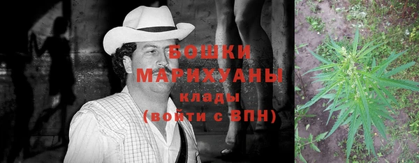круглые Пересвет