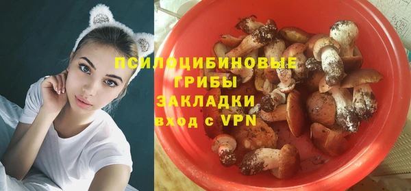круглые Пересвет