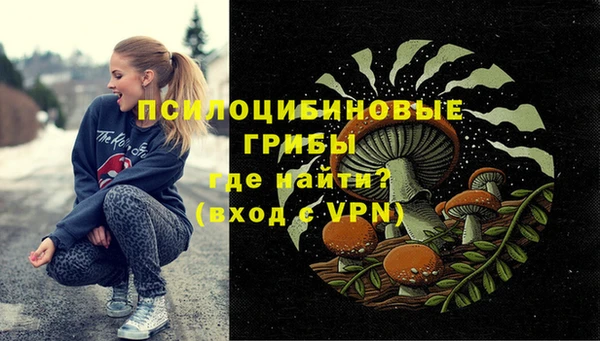 тгк Армянск
