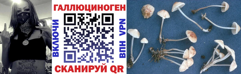 купить   Можайск  Псилоцибиновые грибы MAGIC MUSHROOMS 